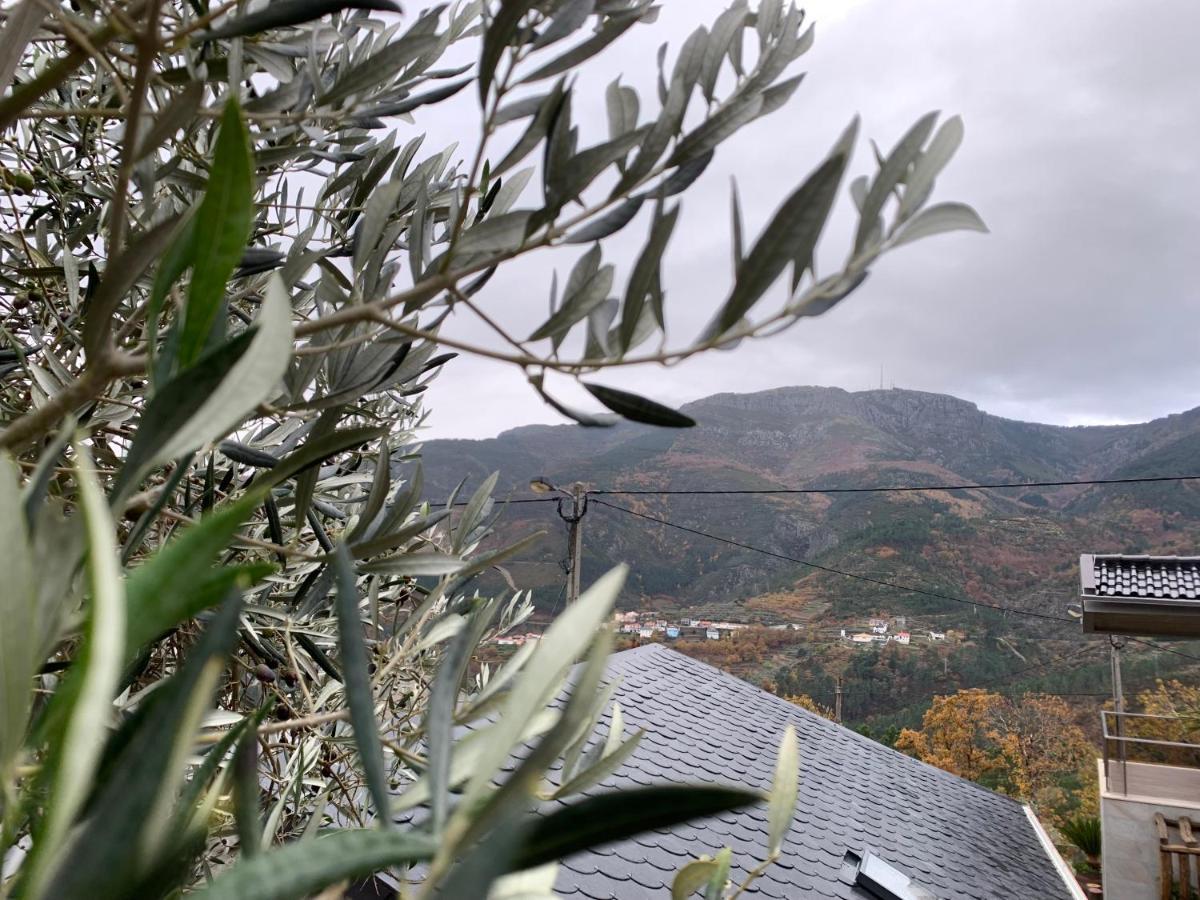 Casa Do Julien Mountain Experience Villa Vila Real Exteriör bild